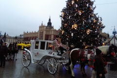 IMG_20181207_152307