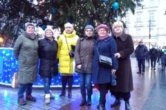 IMG_20181207_152407