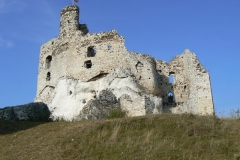 099 Zamek Mirów